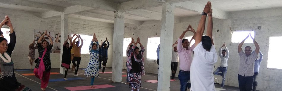 Yoga day event in college & hospital performed by staff & student